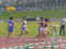 061001W1600mR-03.jpg (98326 �o�C�g)